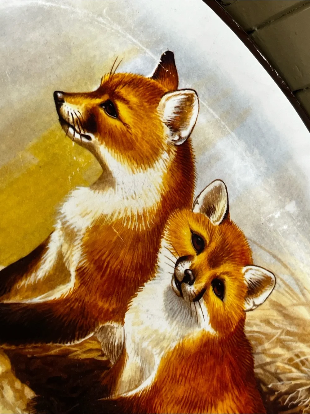 National wildlife Federation, ceramic Oval Tray with Two Red Foxes